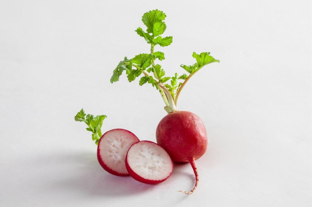 Radish, 'Cherry Belle'