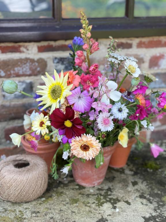 Special Cottage Garden Plants