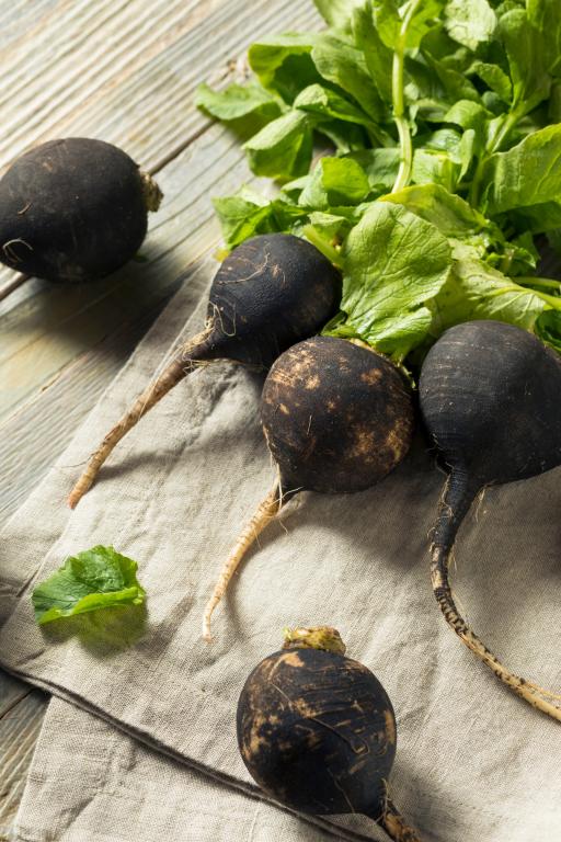 Radish, 'Winter Round Black Spanish'