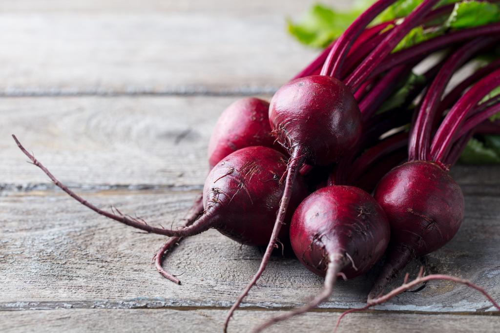 Beetroot, 'Pablo', F1 Hybrid