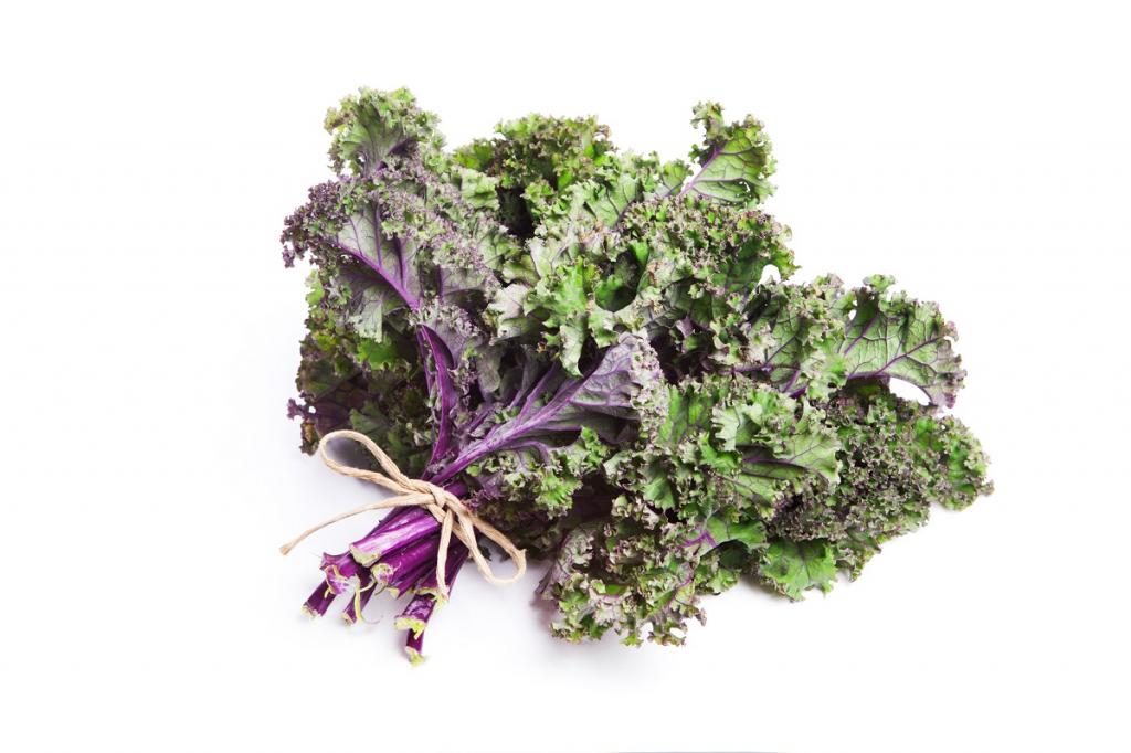 Kale, 'Scarlet'