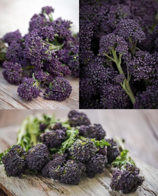 Broccoli, 'Chiltern Seeds Purple Sprouting Mixed'